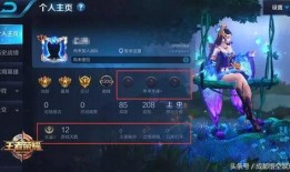 王者青帝被爆料视频,爆料视频揭秘背后真相